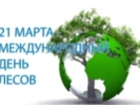 Международный день лесов